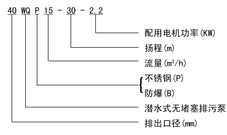 WQP型不锈钢排污泵型号示意图